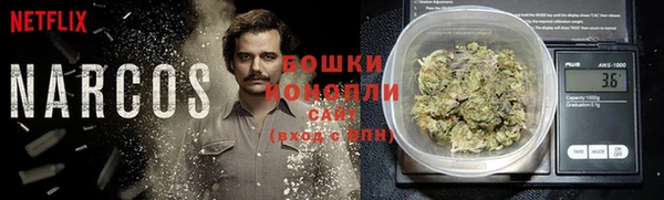 прущий лед Гусев