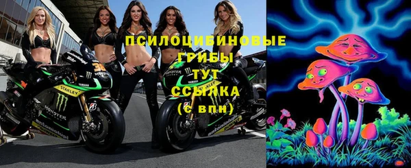 синтетический гашиш Белокуриха