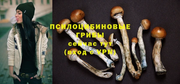 гидропоника Кодинск