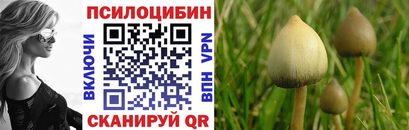 Галлюциногенные грибы Psilocybe  Бобров 
